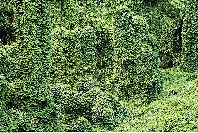 《七龙珠 电光炸裂！ZERO》DLC“龙珠大魔角色组合包1”  4月25日推出